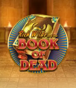 Dive into the thrilling world of Book of Dead Slot by Play'n GO, showcasing vivid graphics of Rich Wilde’s adventurous journey through ancient Egyptian tombs and artifacts. Discover lost riches with engaging mechanics like free spins, expanding icons, and a gamble option. Ideal for those seeking adventure with a desire for thrilling discoveries.